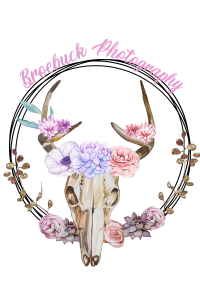 Broebuck Photo Logo